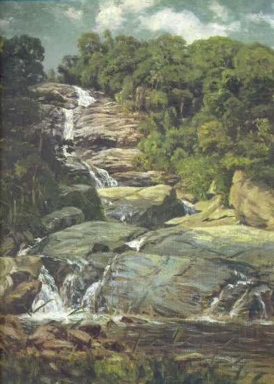 Nicolas-Antoine Taunay Small Cascade in Tijuca china oil painting image